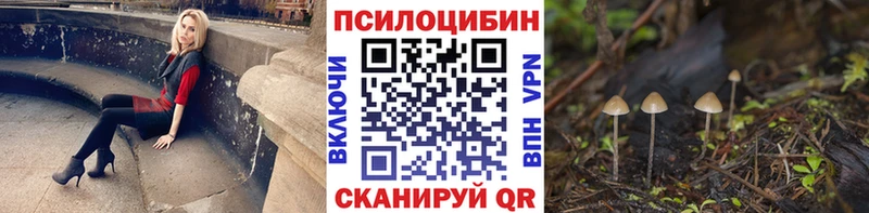Псилоцибиновые грибы мицелий  купить закладку  Ворсма 